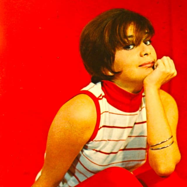 We Love You Dindi! - Sylvia Telles