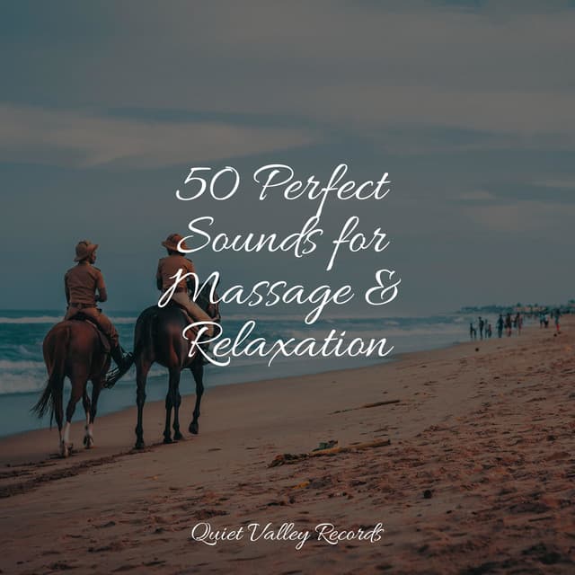 50 Perfect Sounds for Massage & Relaxation - Guided Meditation Music Zone