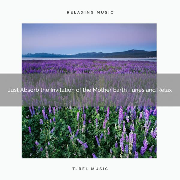 2020 Best: Just Absorb the Invitation of the Mother Earth Tunes and Relax - Nature Noise