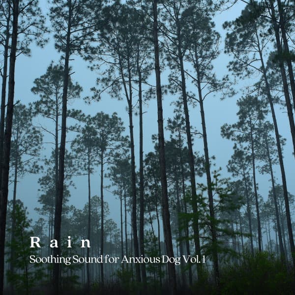 Rain: Soothing Sound for Anxious Dog Vol. 1 - Doggy Music