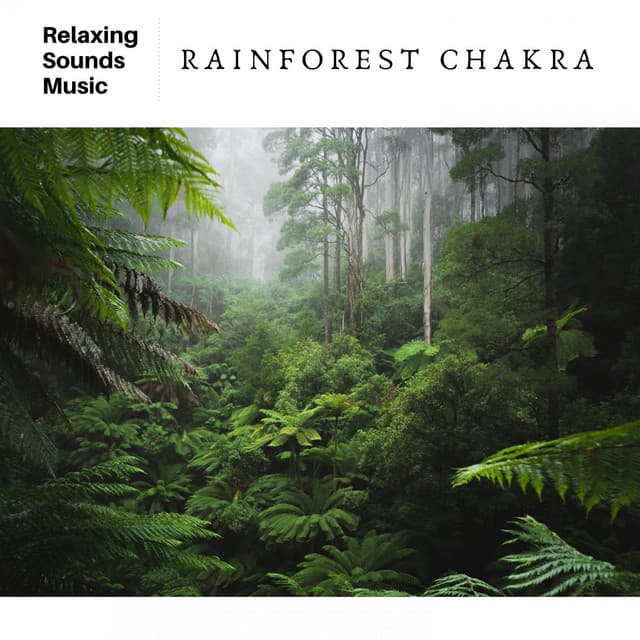 Rainforest Chakra - Spa Radiance