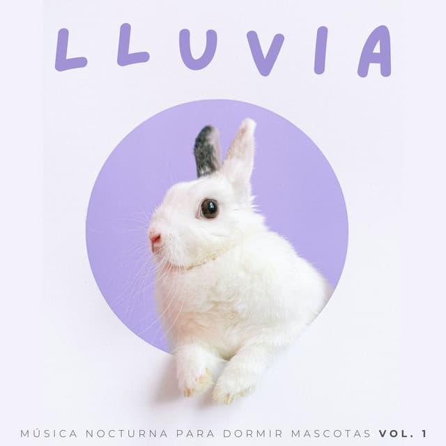 Lluvia: Música Nocturna Para Dormir Mascotas Vol. 1 - Sonido de lluvia para dormir