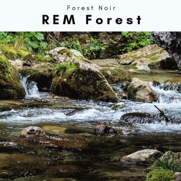 1 REM Forest - Forest Noir