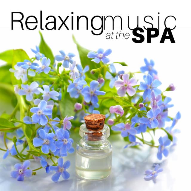 Relaxing Music at the Spa - Sauna & Relax