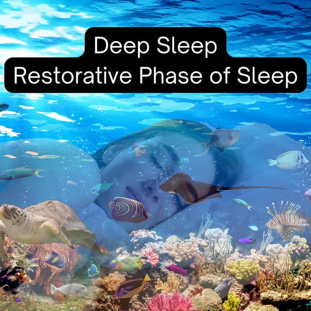 Deep Sleep: Restorative Phase of Sleep - Deep Sleep Underwater