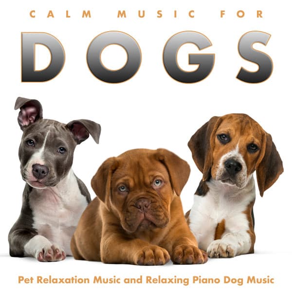Calm Music For Dogs: Pet Relaxation Music and Relaxing Piano Dog Music - Dog Music
