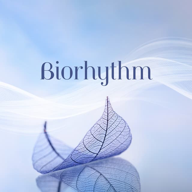 Biorhythm - Beth Souls