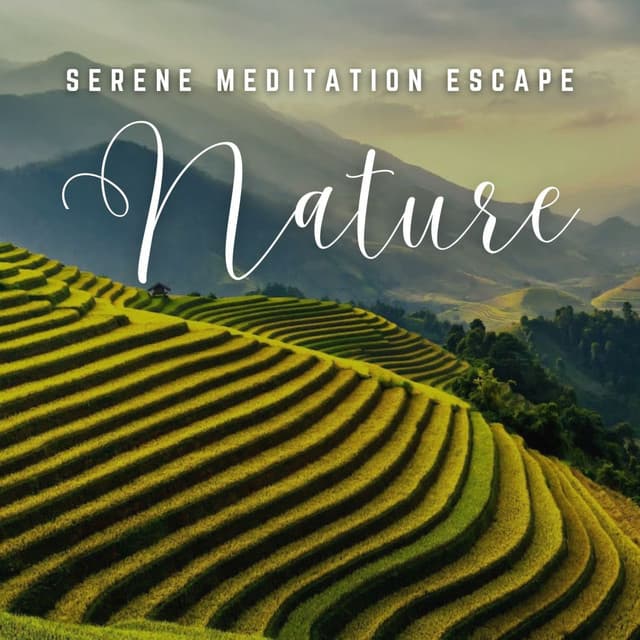Meditation Oasis: Tranquil Soundscapes for Inner Peace - Meditation Music Solitude