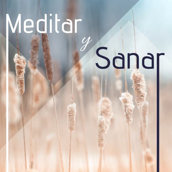 Meditar y Sanar - 20 Canciones Ejercicios de Meditación, Relajación y Yoga - Musica Relajante