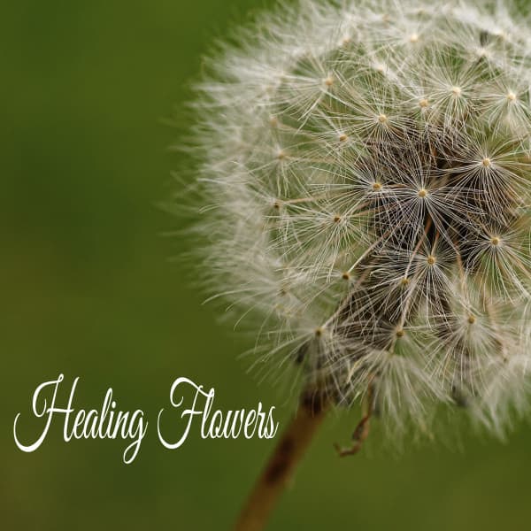Healing Flowers - Música Relajante