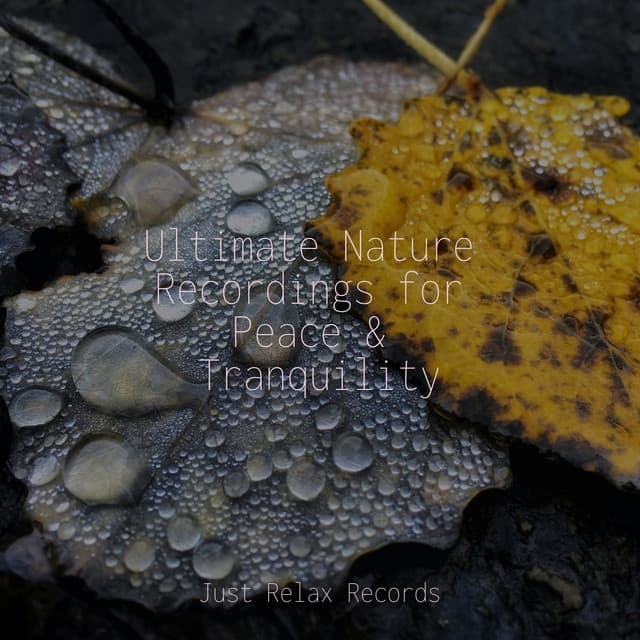 Ultimate Nature Recordings for Peace & Tranquility - Children's Music
