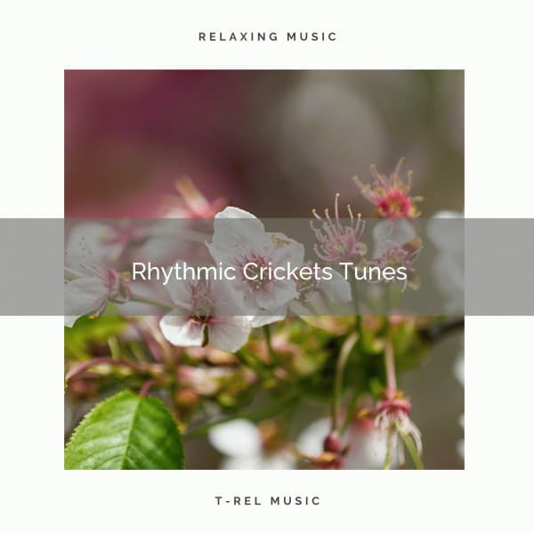 2021 Rhythmic Crickets Tunes - Sleep Crickets