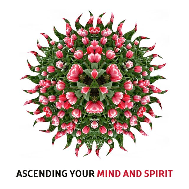 Ascending Your Mind and Spirit – Meditation Music to Calm Inner Spirit, Buddha Lounge, Calming Waves, Zen Garden - Meditação e Espiritualidade Musica Academia
