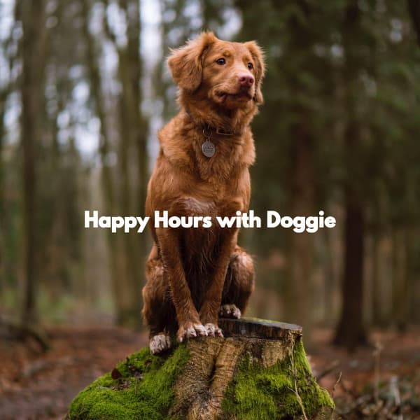 Happy Hours with Doggie - Jazz Alegre para Cafeterías