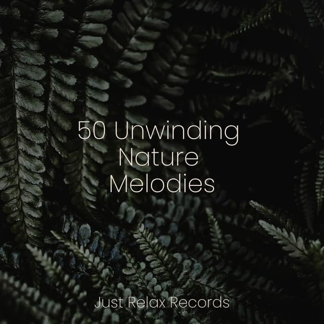 50 Unwinding Nature Melodies - Música Relajante para Bebés