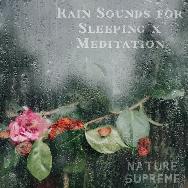 Rain Sounds for Sleeping x Meditation - Nature’s Supreme