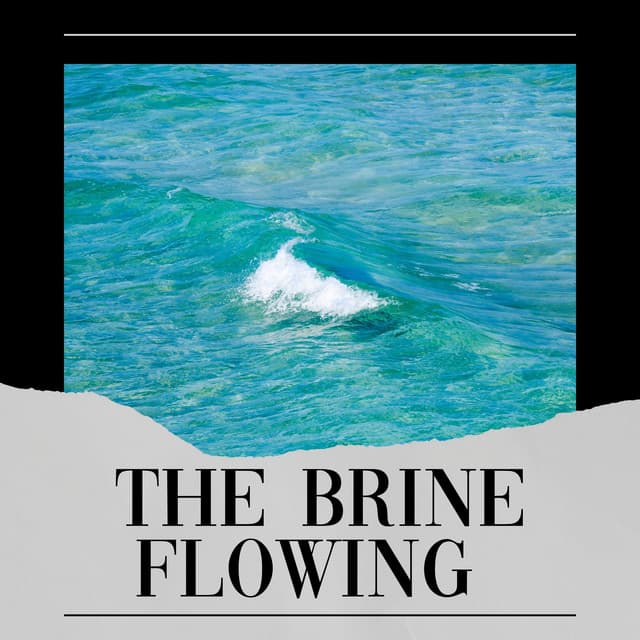 The Brine Flowing - Sundays By The Ocean