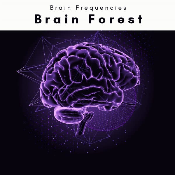 Brain Forest - Spiritual Yoga