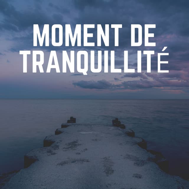 Moment de Tranquillité - Musique Douce Ensemble
