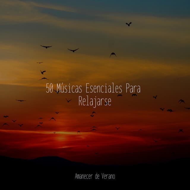 50 Músicas Esenciales Para Relajarse - Sonidos de la Naturaleza Relajacion