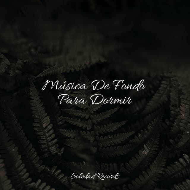 Música De Fondo Para Dormir - Sonidos De Lluvia y Tormentas