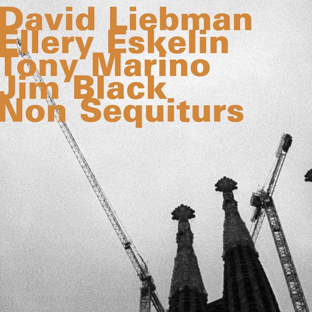 Non Sequiturs - Dave Liebman