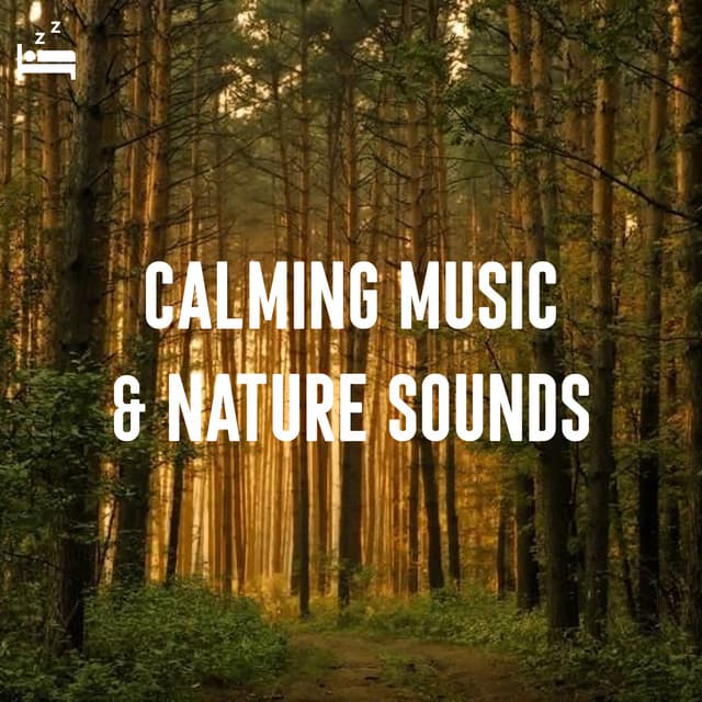 Calming Music and Nature Sounds - Stress Relief