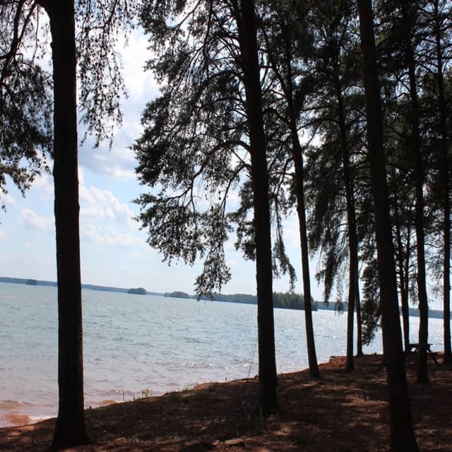 Background Cancelling Ambiance - Sleepy Sounds