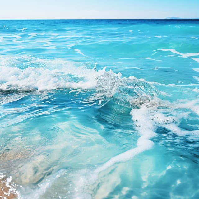 Océano Relajante: Armonía Tranquila De Orillas - La naturaleza llama