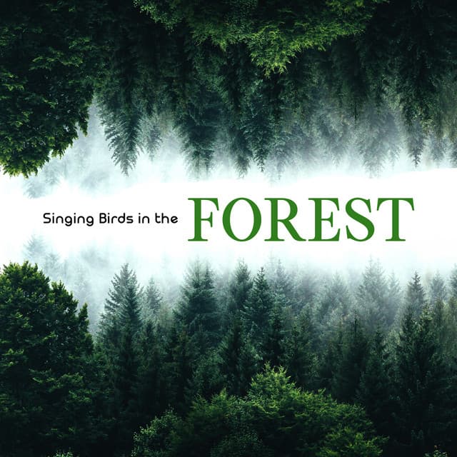 The Calming Sounds Of Nature