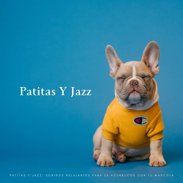 Patitas Y Jazz: Sonidos Relajantes Para La Acurrucos Con Tu Mascota - Cafetería Jazz Piano Escalofriante