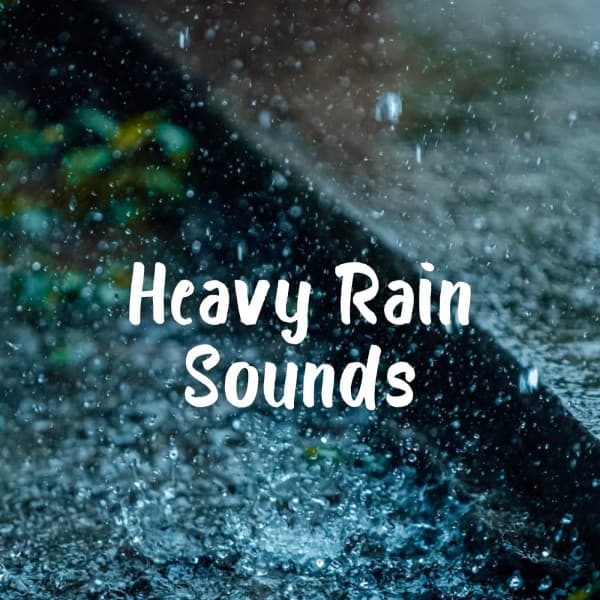 Beautiful Noises Collection