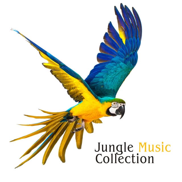 Jungle Music Collection: Tropical Jungle Sounds - Affirmations Music Center
