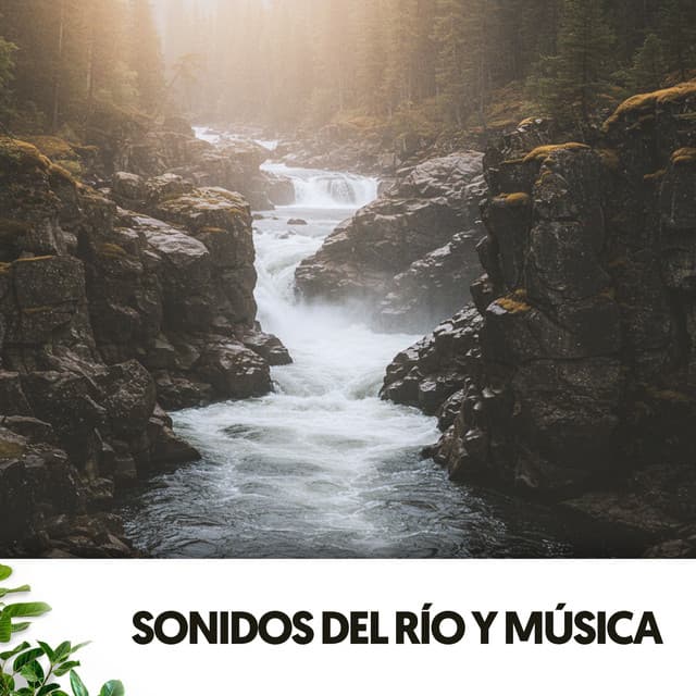 Sonidos del río y música: Melodías Acuáticas - Ruido Blanco Hart