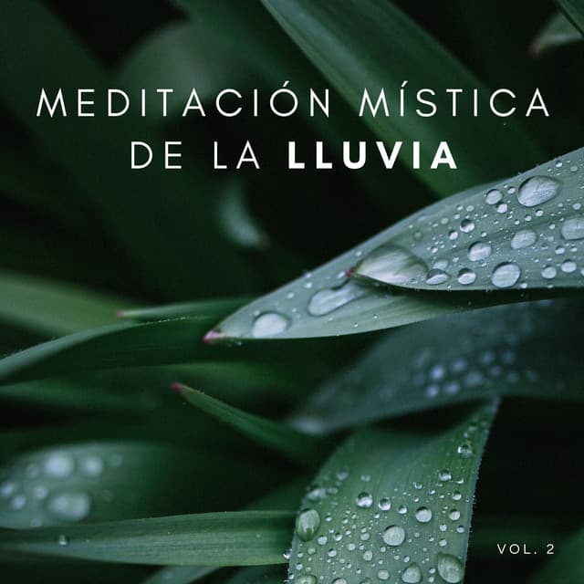 Meditación Mística De La Lluvia Vol. 2 - Naturaleza Sonidos