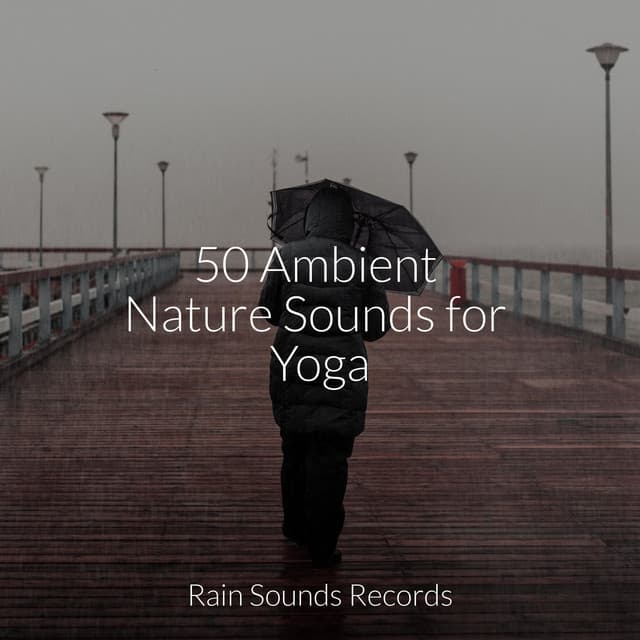 50 Ambient Nature Sounds for Yoga - Shakuhachi Sakano