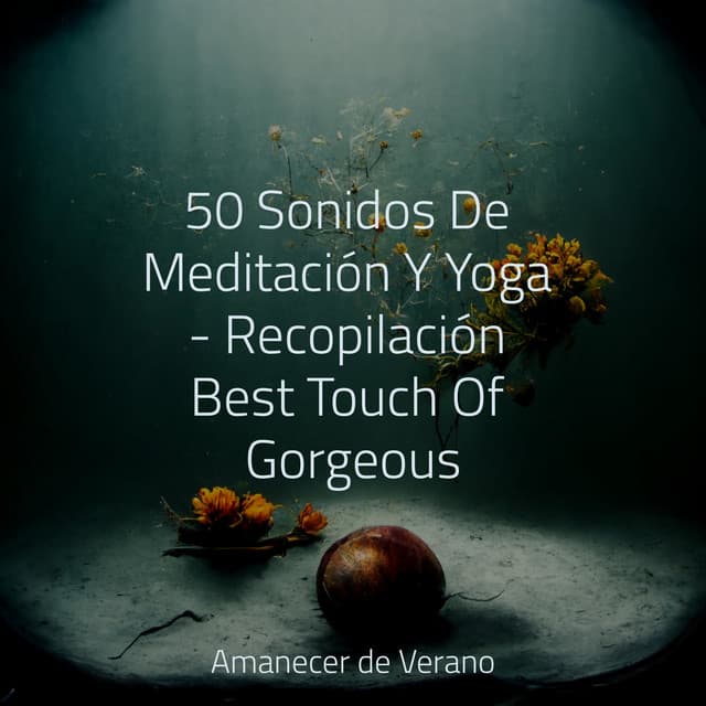 50 Sonidos De Meditación Y Yoga - Recopilación Best Touch Of Gorgeous - Musica Relajante Specialistas & Musica Relajante