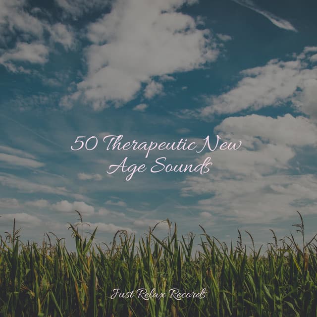 50 Therapeutic New Age Sounds - Soothing Sounds