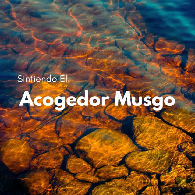 Sintiendo El Acogedor Musgo - Sonidos de la naturaleza báltica
