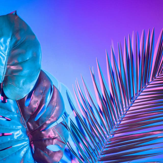 Ultimate Tropical Party Vibes - Dj Chilling del Mar