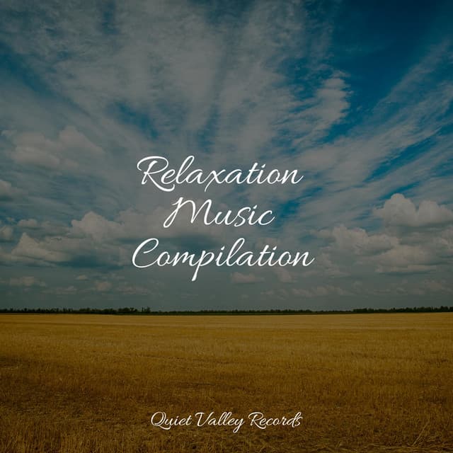 Relaxation Music Compilation - Mindfulness Mediation World