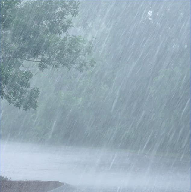 Soothing Rains - Noise and Nature