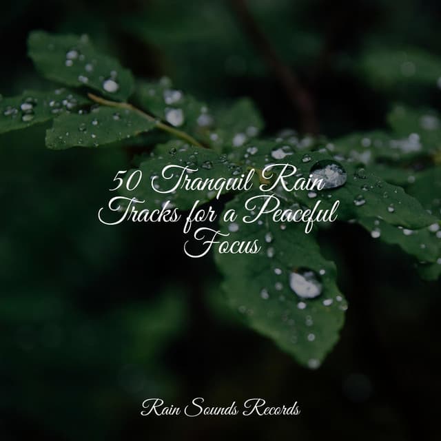 50 Tranquil Rain Tracks for a Peaceful Focus - Naturaleza Sonidos