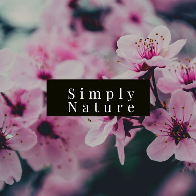 Simply Nature - Masala Roo