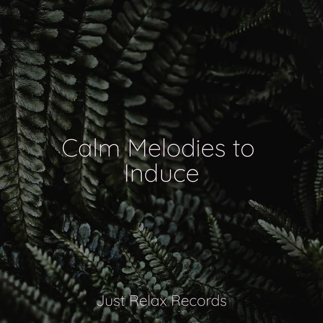 Calm Melodies to Induce - Música Zen Relaxante