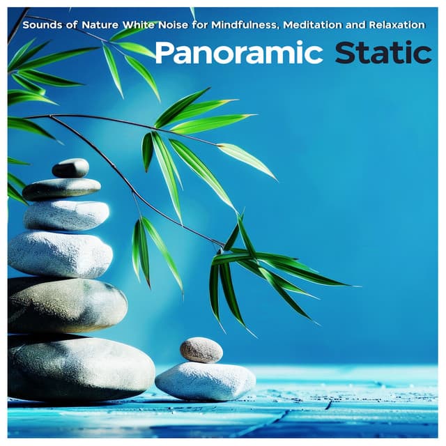 Panoramic Static - Sounds of Nature White Noise for Mindfulness, Meditation and Relaxation
