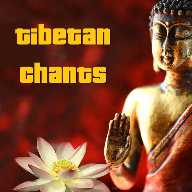 Monks For Peace