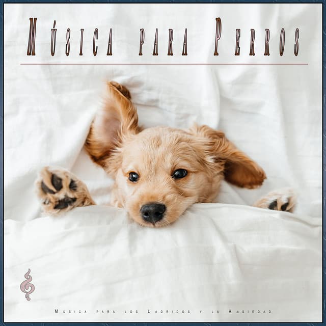 Música para Perros: Música para los Ladridos y la Ansiedad - Música Para Perros