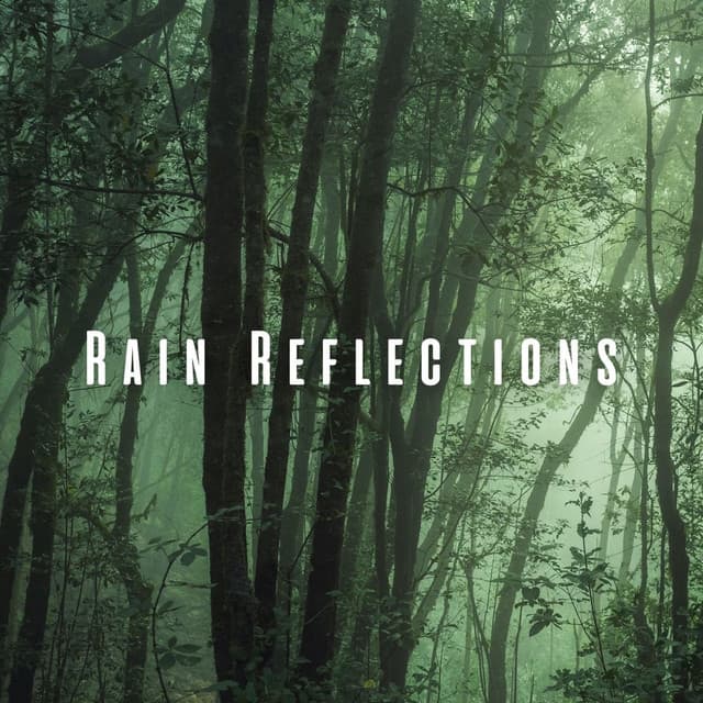 Rain Reflections: Forest Rain for Serene Sleep - Calm Rain Sounds