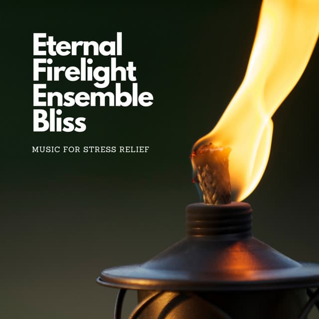 Eternal Firelight Ensemble Bliss: Music for Stress Relief - Heatly